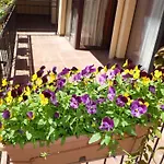 Hotel apartamentowy Tourist Complex Rose Village