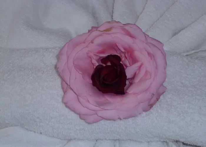 Tourist Complex Rose Village 2* Сонячний Берег