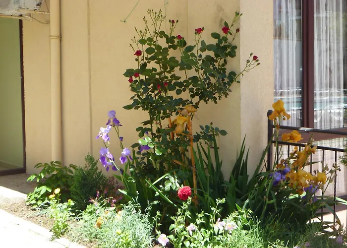 Tourist Complex Rose Village 2* Сонячний Берег