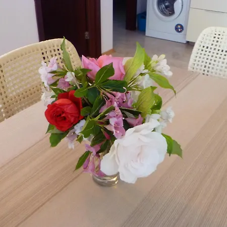 Rose Village 2*