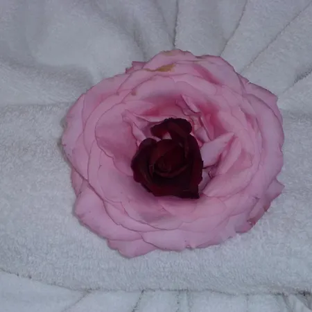 Tourist Complex Rose Village 2* Слънчев бряг