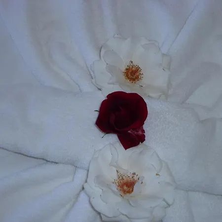 Aparthotel Rose Village Slantschew brjag
