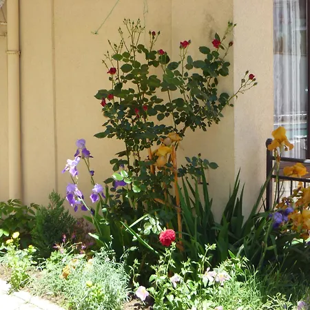 Tourist Complex Rose Village 2* Слънчев бряг