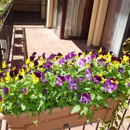 Aparthotel Rose Village