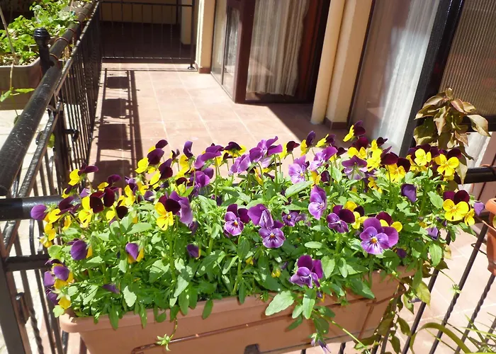 Apart Otel Tourist Complex Rose Village